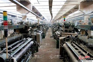 最后的輝煌 儀征市化纖紡織廠大型再生錄紀實